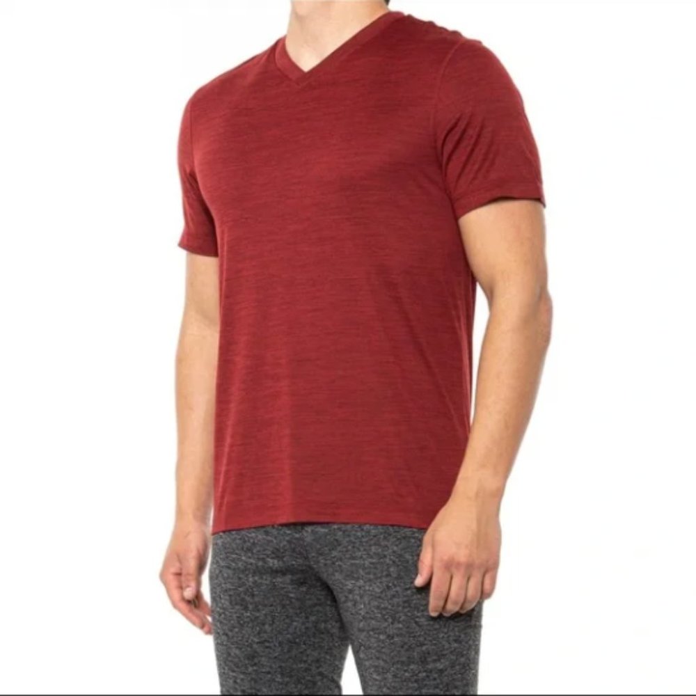 Gaiam Men's Everyday Yoga V-neck T-shirt in Sun Dried Tomato Heather (Size: S)